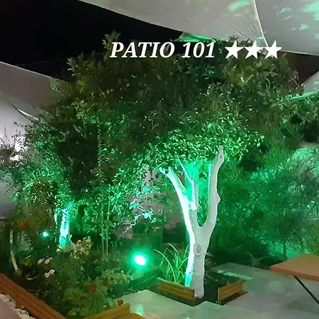 Patio 101 