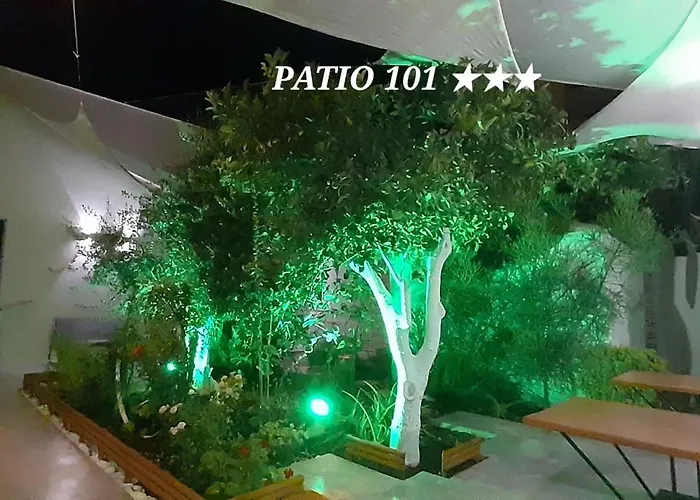 Patio 101 