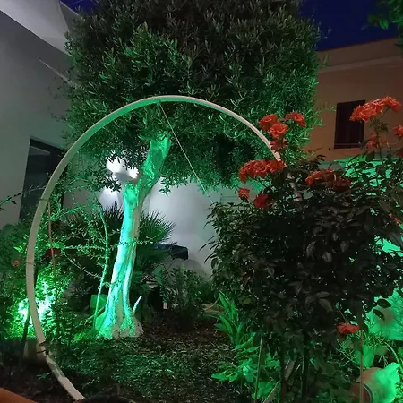 Bed & Breakfast Patio 101 