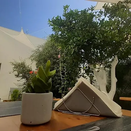 Patio 101 