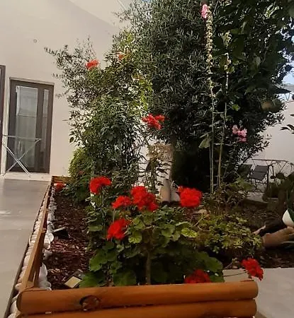 Oda ve Kahvaltı Patio 101 