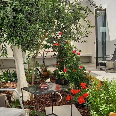 Patio 101 