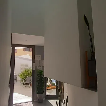 Patio 101 
