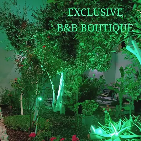 Patio 101  Exclusive  Boutique 4*